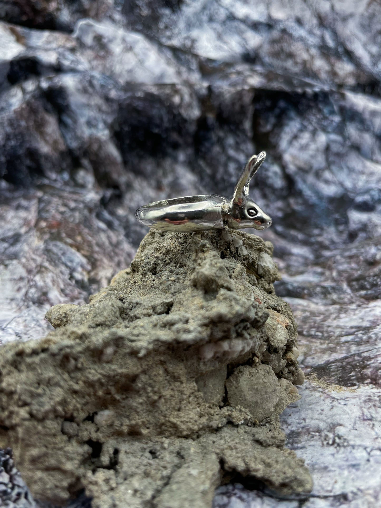 Oreilles